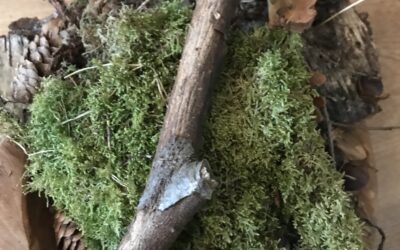 Hoe het thuis kan gaan in coronatijd