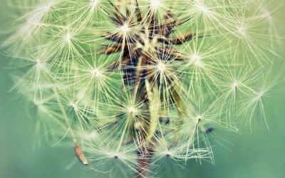 Back to school, in Coronatijd.